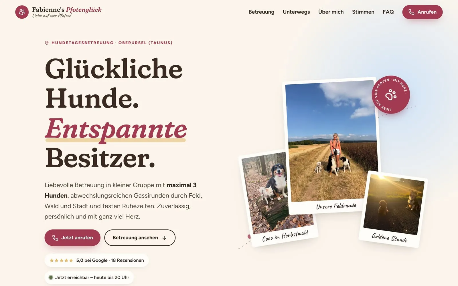 Startseite von Fabienne's Pfotenglück mit der Überschrift „Glückliche Hunde. Entspannte Besitzer.“ und einer Polaroid-Collage aus Gassi-Fotos